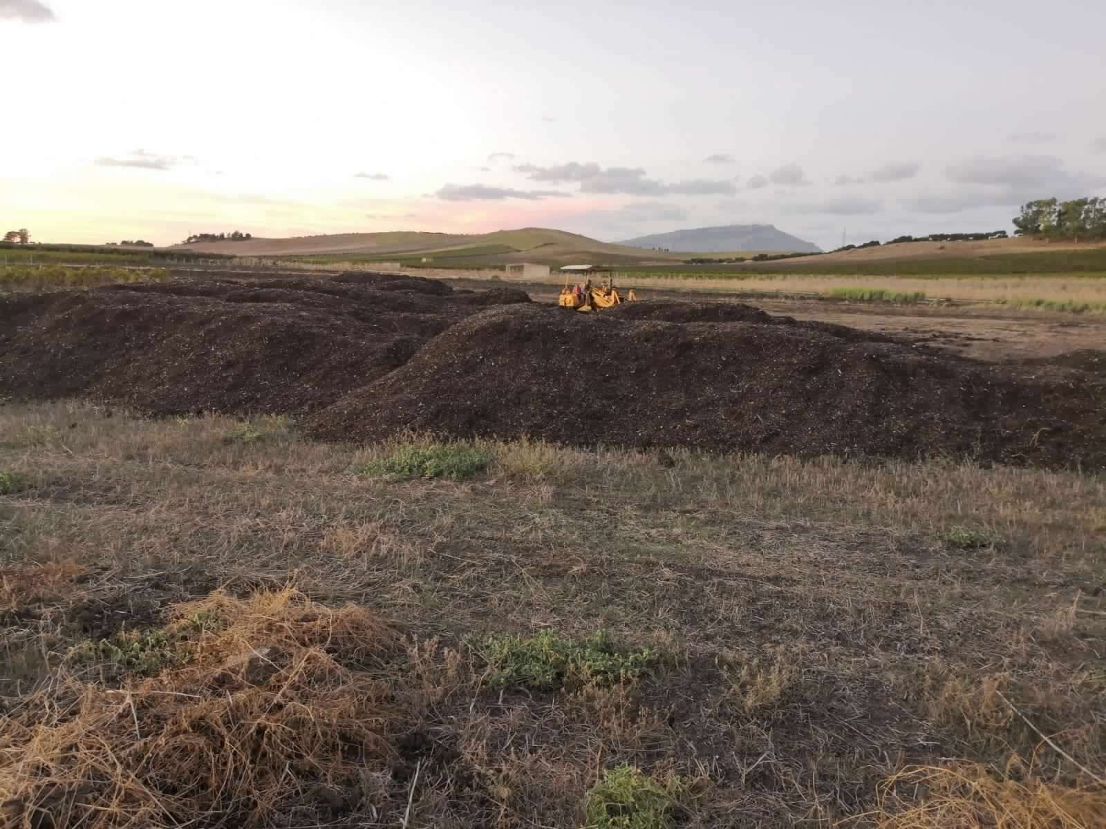 Come avviene il processo di compostaggio?